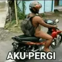 Stika