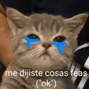 Nhãn dán