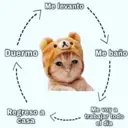 Çıkartma