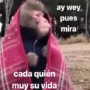 Nhãn dán