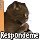 Стикер