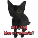 Stika