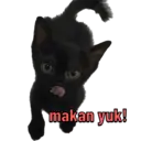 Çıkartma