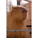 ملصق