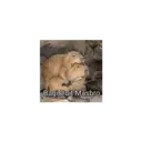 Çıkartma