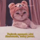 Límmiði