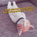 Límmiði