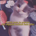 Límmiði