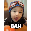 Stiker