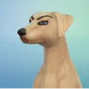 Çıkartma