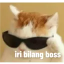 Stiker