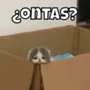 贴纸