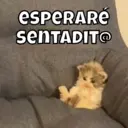 Naljepnica