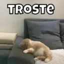 Naljepnica
