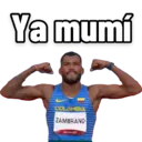 Samolepka