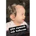 Límmiði