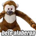 Կպչուն պիտակ