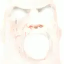 ملصق