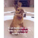 Nhãn dán