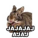 Klistermärke
