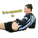 ملصق