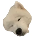 贴纸