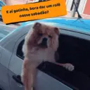 Çıkartma