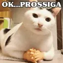 Figurinha