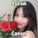 Çıkartma