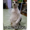 Naljepnica