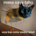 Stika