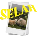 Stiker