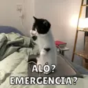 ملصق
