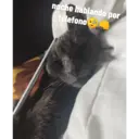 Naljepnica