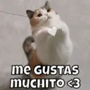 Stika