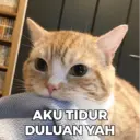 Çıkartma