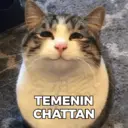 Çıkartma