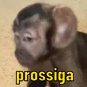 Çıkartma