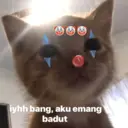 Nhãn dán