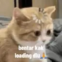 Çıkartma