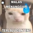 Stiker