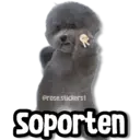 Stiker