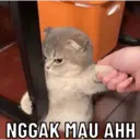 Стикер