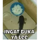 Stiker