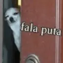Figurinha