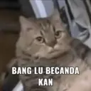 Çıkartma
