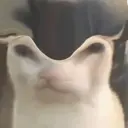 Çıkartma
