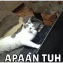 ملصق