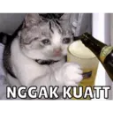Стикер