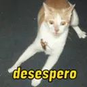 מדבקה